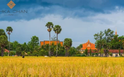 Country side